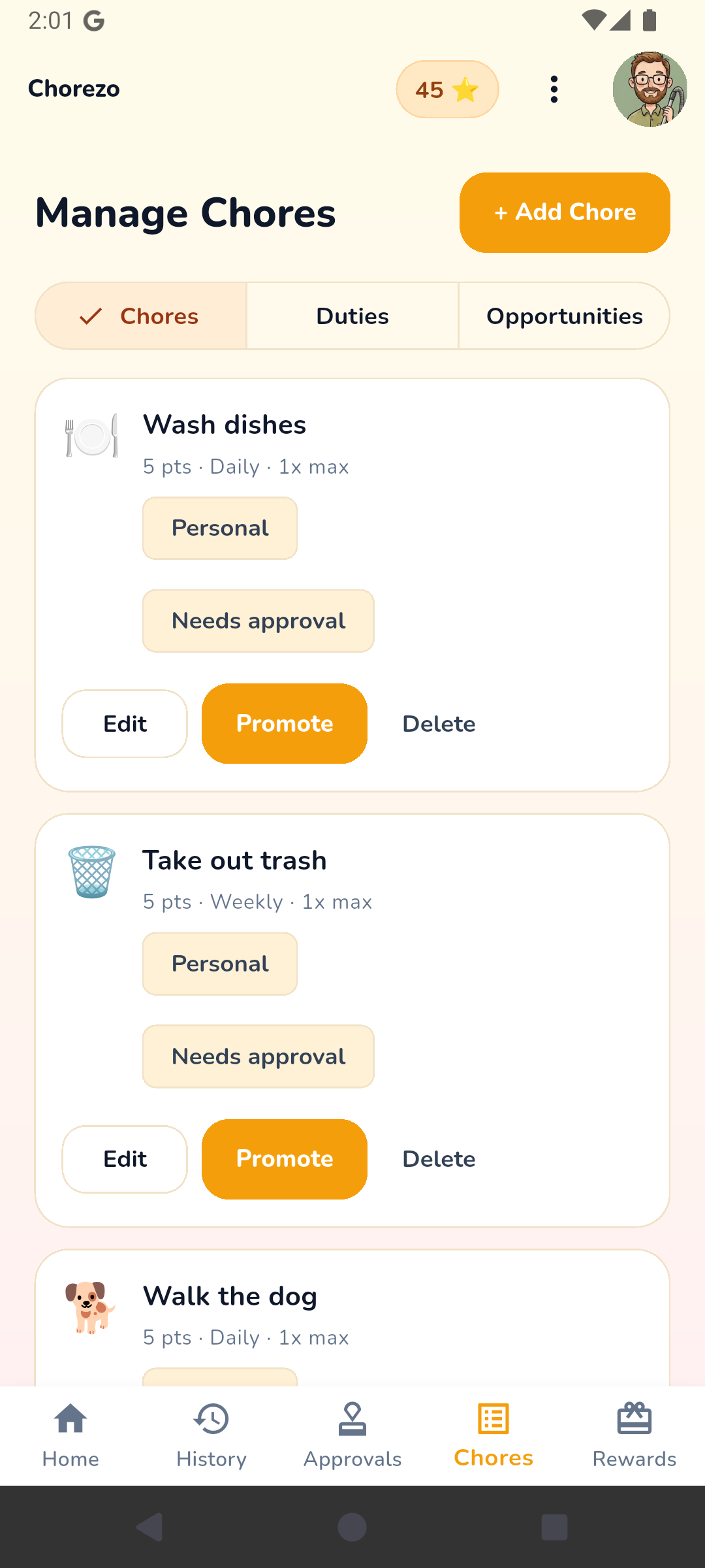 Chore management screen with categories